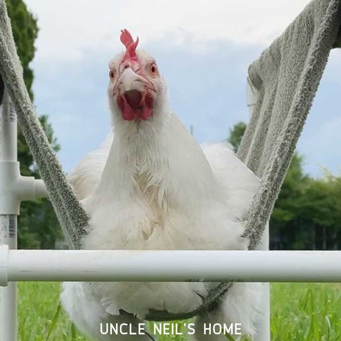 Cora of Uncle Neil's Home