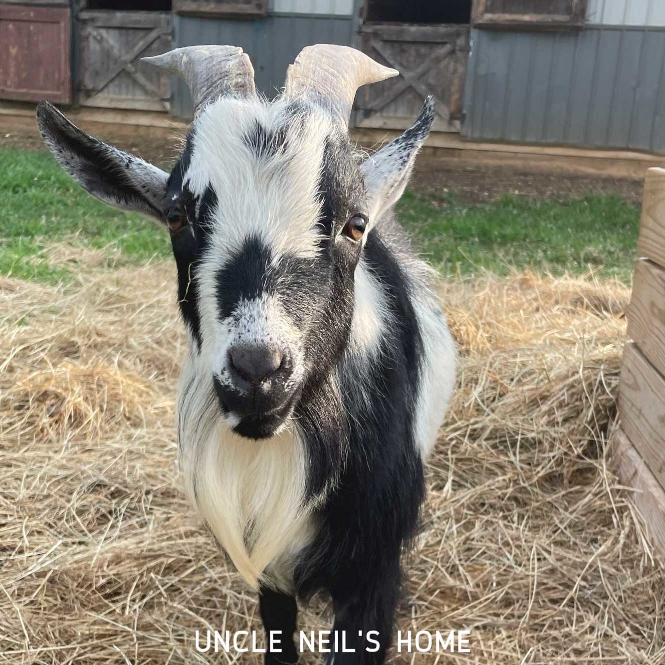 Gerald of Uncle Neil's Home