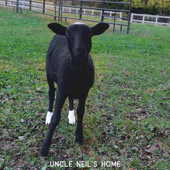 Theodore, resdient of Uncle Neil's Home