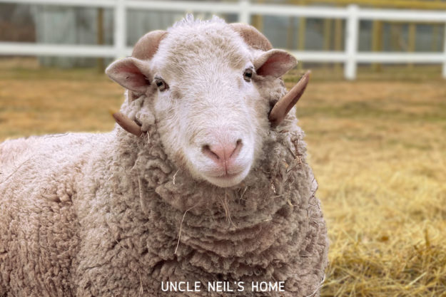 UNH Huxley UNH Huxley