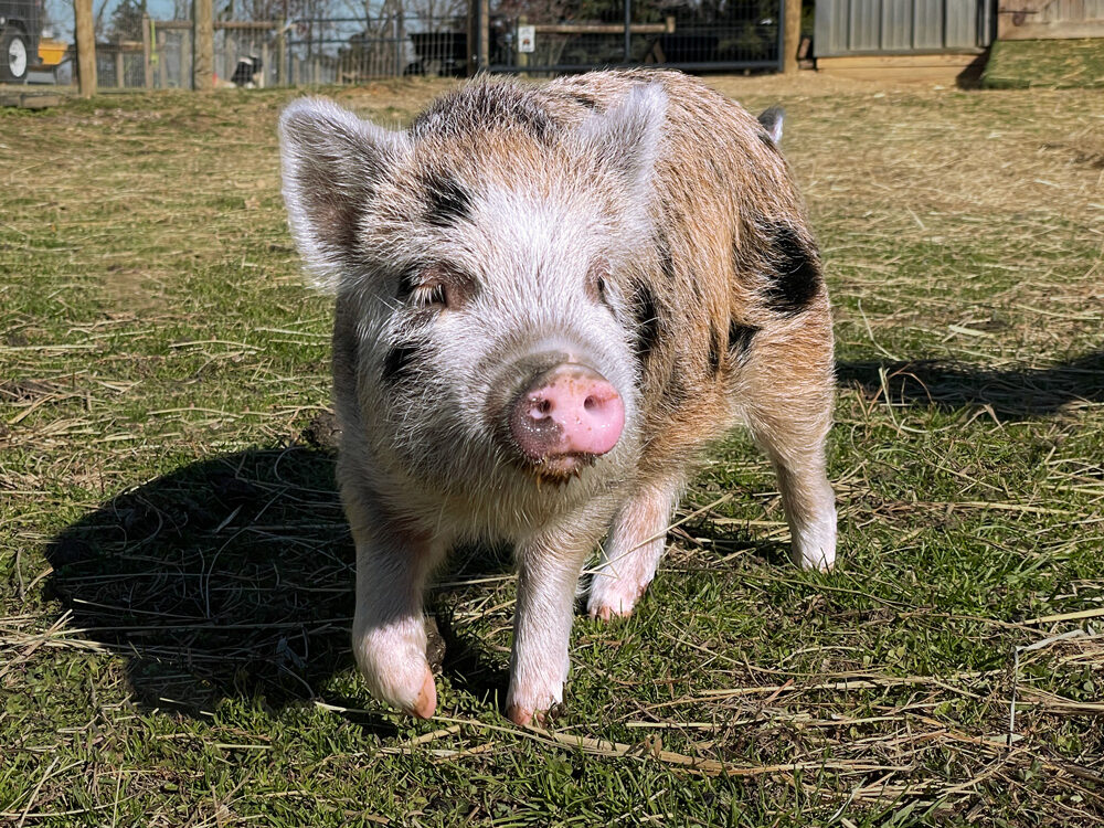 Augustina_Jan-2023-web2