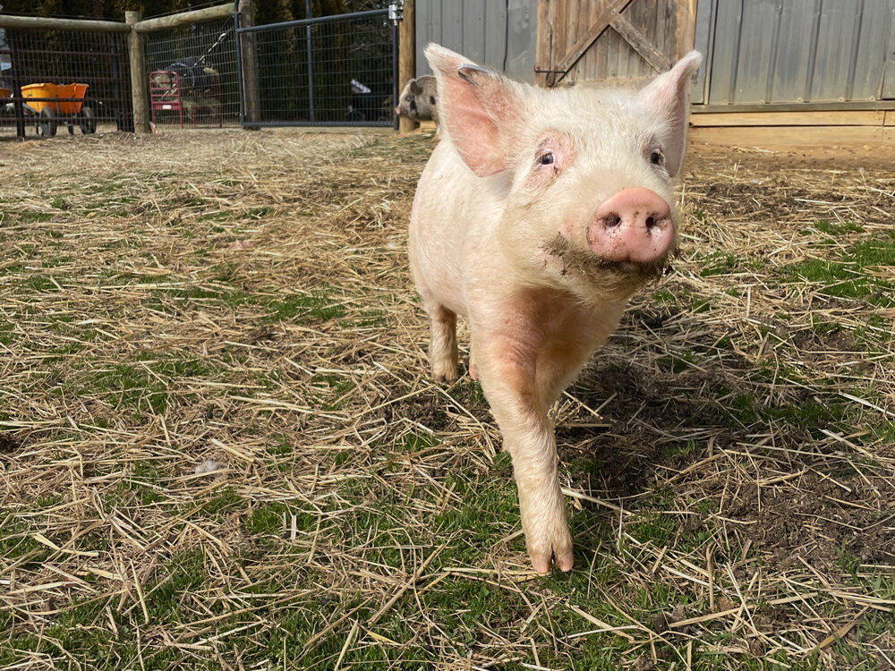 Dilbert-Feb-2023-web