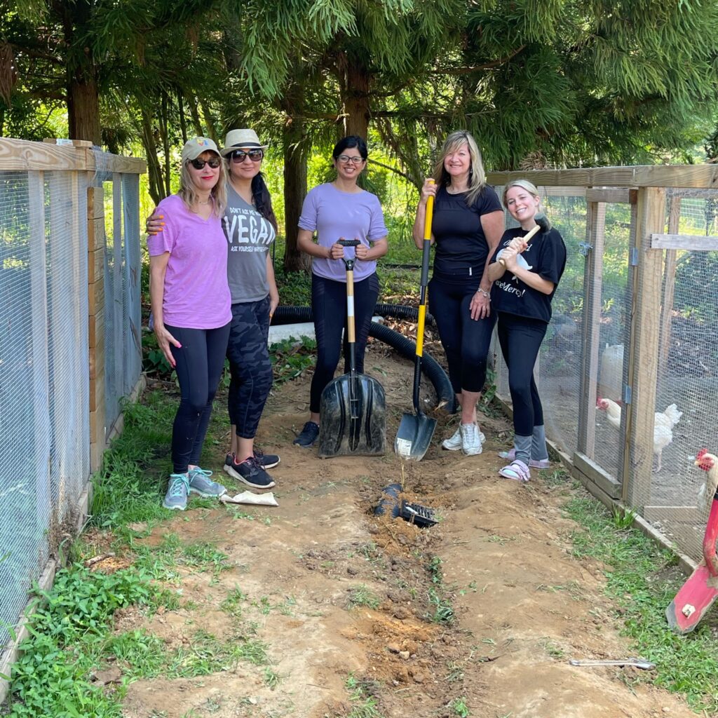 Volunteers-at-Uncle-Neils-Home-a-Farm-Sanctuary
