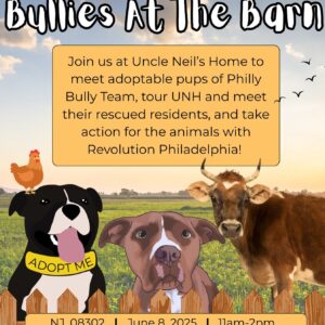 Bullies At The Barn
