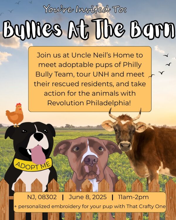 Bullies At The Barn